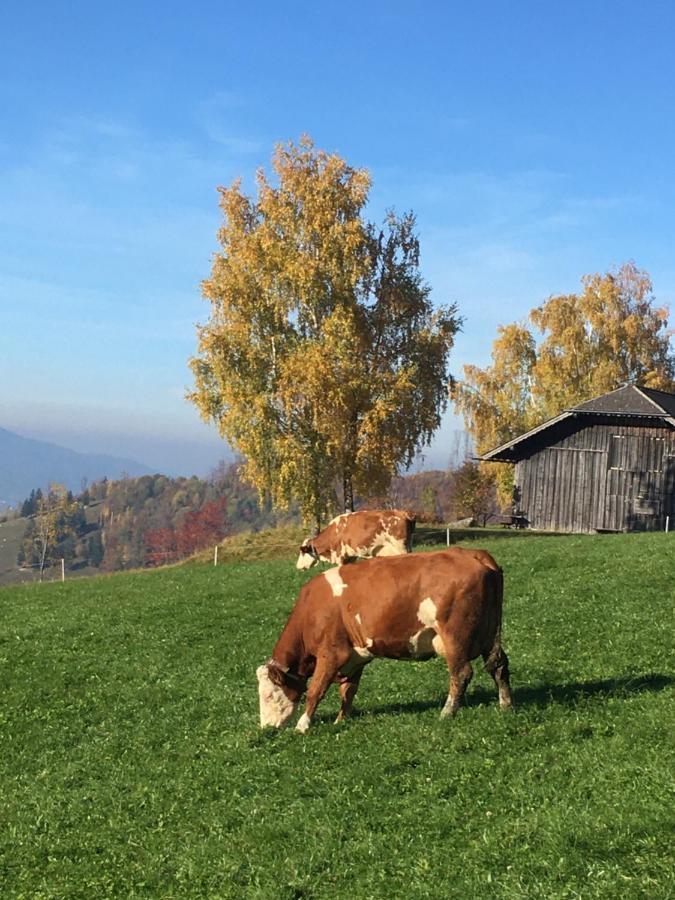 فيلا Feichtingerhof شتاينباخ آم أترزي المظهر الخارجي الصورة