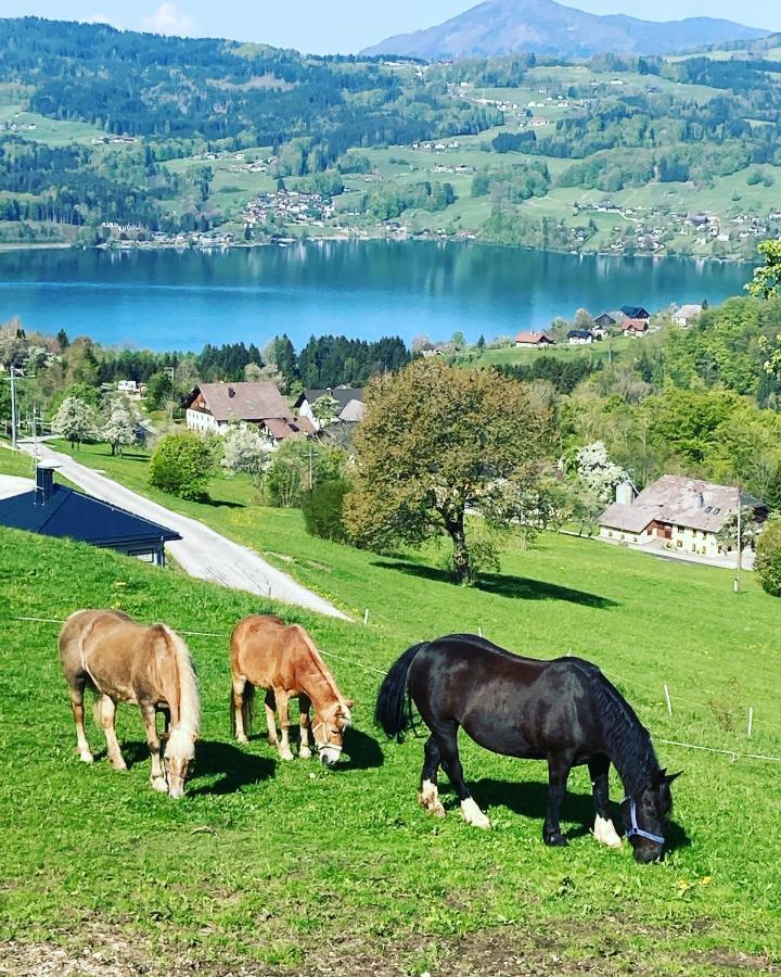 فيلا Feichtingerhof شتاينباخ آم أترزي المظهر الخارجي الصورة